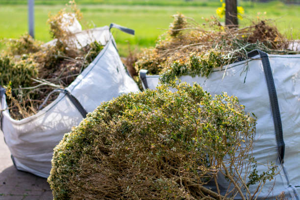 Commercial Cleanout Services in Powhatan Point, OH