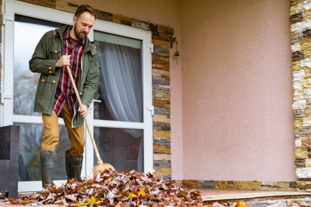 Best Affordable Junk Removal Services  in Powhatan Point, OH
